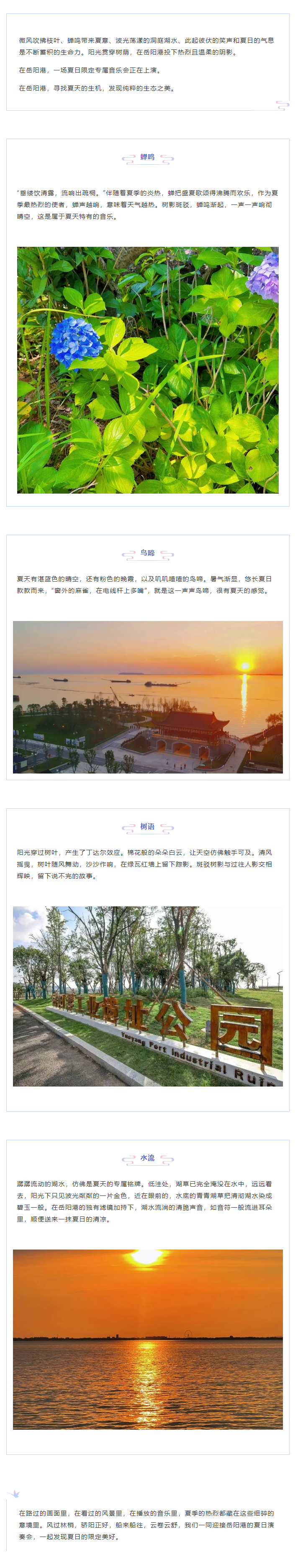 【夏日演奏會】在岳陽港，聆聽夏天的聲音.png